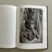 Emmanuel Honorato Vazquez In Modernista en Los Andes Hardcover