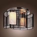 Black Semi Flush Mount with 2 Lights, Mini Style Chandeliers Modern Ceiling Ligh