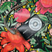 Sony Cyber-shot Point-and-Shoot Digital Camera