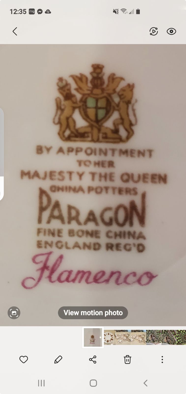 Paragon Flamenco Bone China