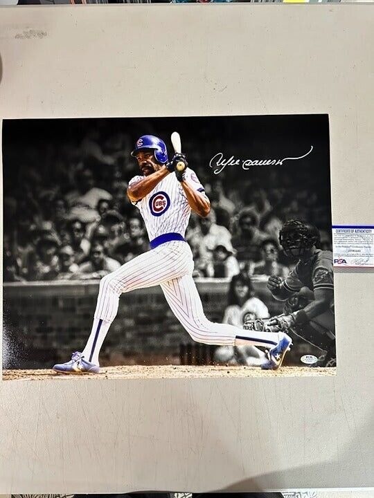 Andre Dawson signed autographed Chicago Cubs 16x20 Photo Spotlight PSA/DNA
