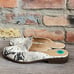 Madden Girl Women’s Classic Mattie Faux Leather SnakePrint Mule Sandals Sz 8