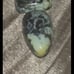 2 Paired SNOWVILLE VARISCITE CABOCHONS- backed & so stunning!