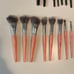 Brand New BH Cosmetics Lot of 49 Makeup Brushes