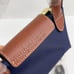 Blue Longchamp bag