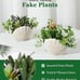 NEW Set of 2 Fake Plants , Assorted Faux Succulents Artificial Plants