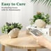 NEW Set of 2 Fake Plants , Assorted Faux Succulents Artificial Plants