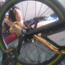Greenmachine huffy bike
