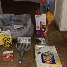 Brand New Cat Items