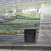 BRAND NEW RALPH LAUREN GEMMA STRIPE FULL/QUEEN 3PC COMFORTER SET