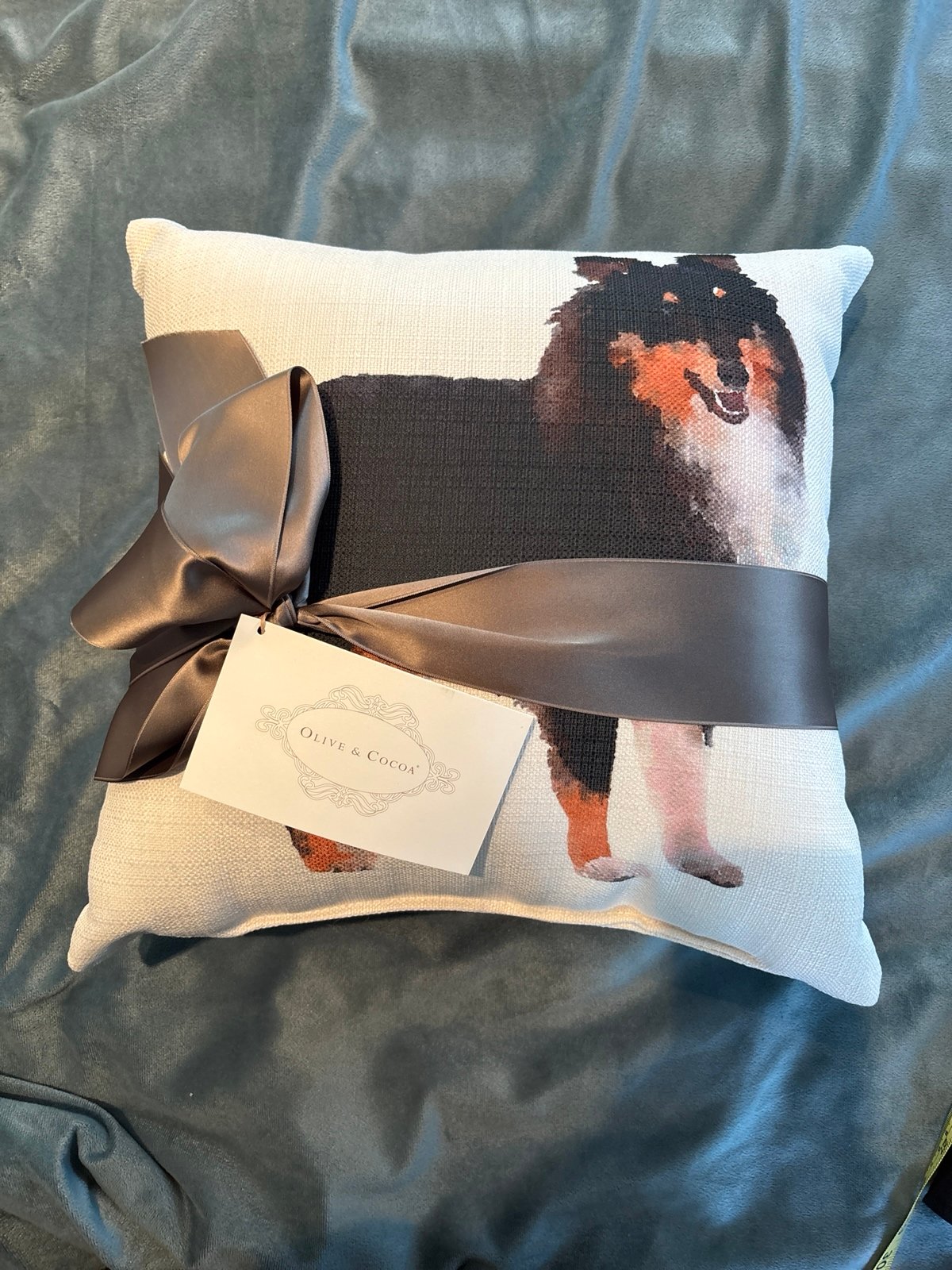 OLIVE & COCOA Watercolor Dog Pillow NWT