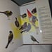 Vintage 1977 hardcover Gnomes book