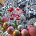 Hello Kitty Sanrio characters acrylic ornaments bundle of 29