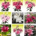 Bundle for Marinas_shop