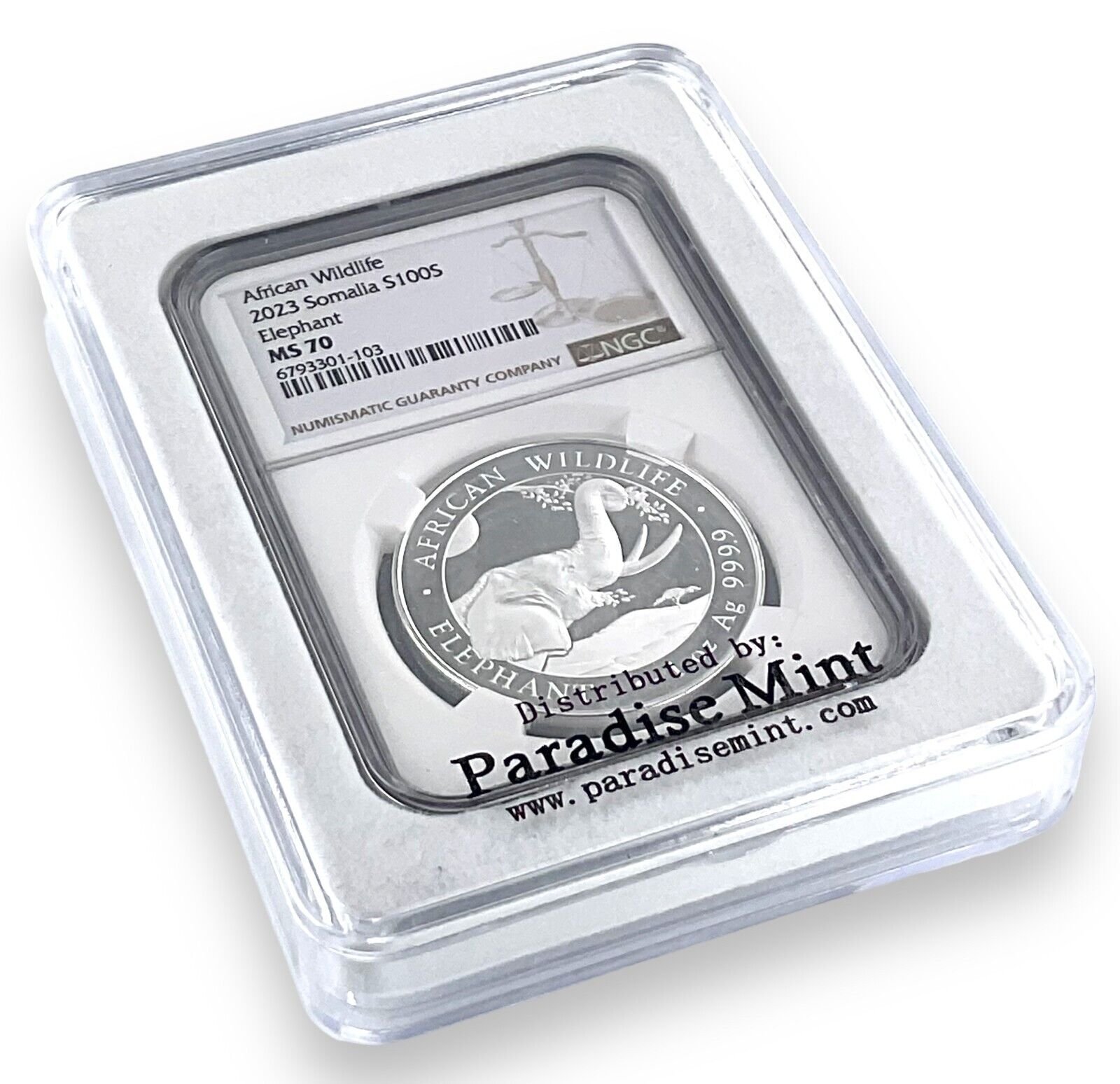 2023 Somalia 1oz Elephant 100 Shillings Coin NGC MS70 Brown Label w/Case