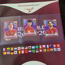 WALES STICKERS FIFA WORLD CUP