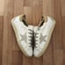 Size 6.5 - Golden Goose Super-Star sneakers. Made in Italy. Comes with dust bag.