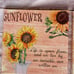 Set of four sunflower canvas wall art romantic quotes canvas