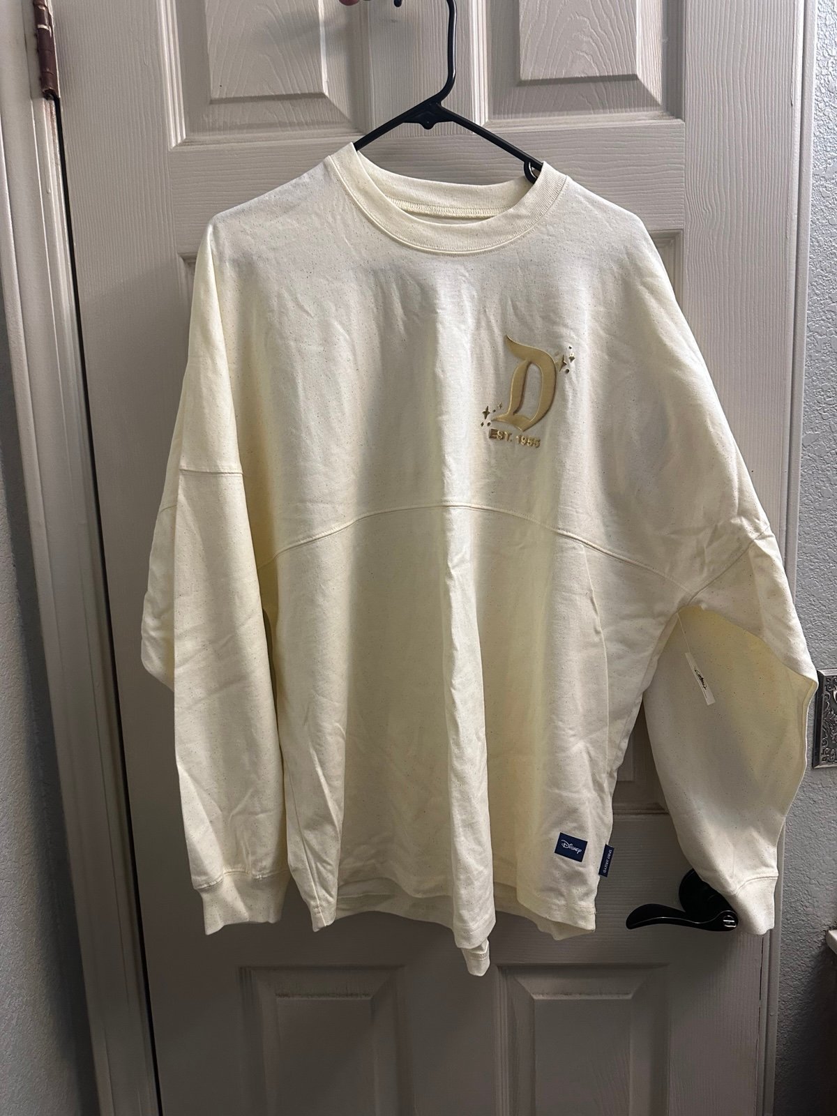 Disneyland Spirit Jersey