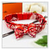 HERMES Hermes Nou Papillon Bow Tie, Orange Silk