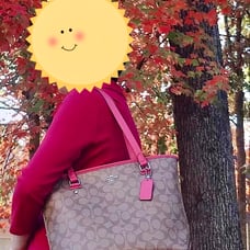 Coach ZIP TOP TOTE IN OUTLINE SIGNATURE