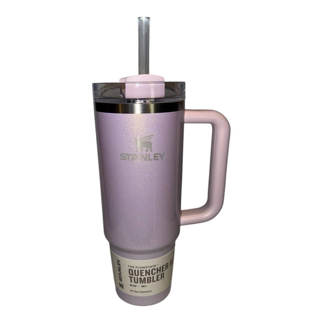 Stanley 30oz Stainless Steel Tumbler Target Limited Edition Aster BNWB