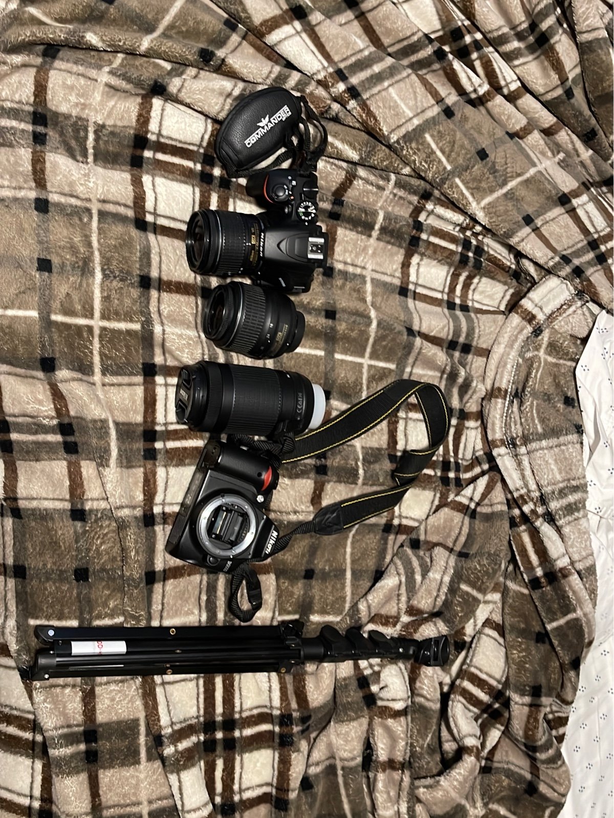 cameras