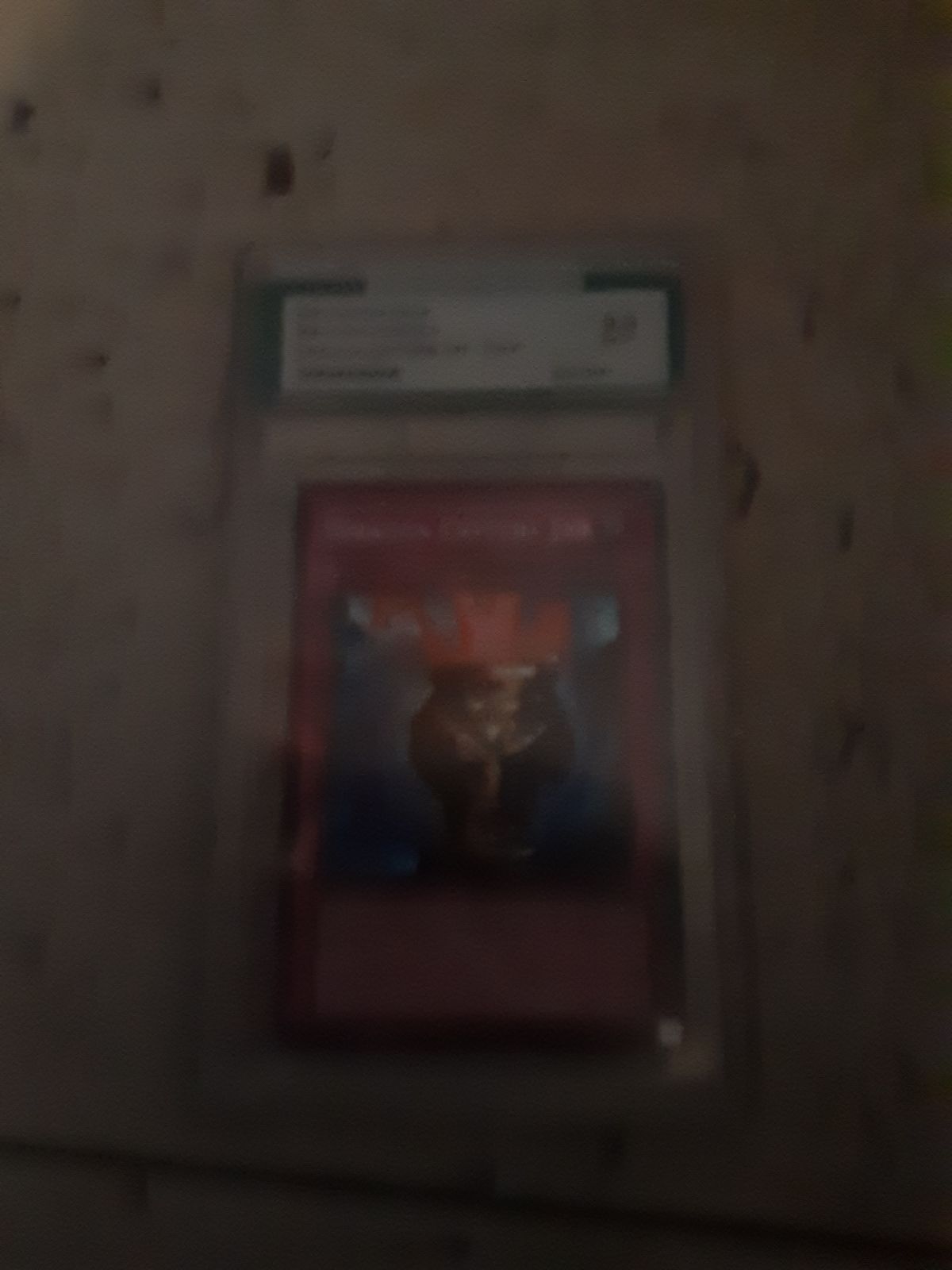 Yu_gi_oh cards