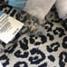 NWT J. McLaughlin Trixie Print Border 2 MPR188