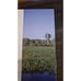 Ecology: An Australian Perspective by Attiwill & Wilson (2007) 2nd Edition