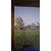 Ecology: An Australian Perspective by Attiwill & Wilson (2007) 2nd Edition