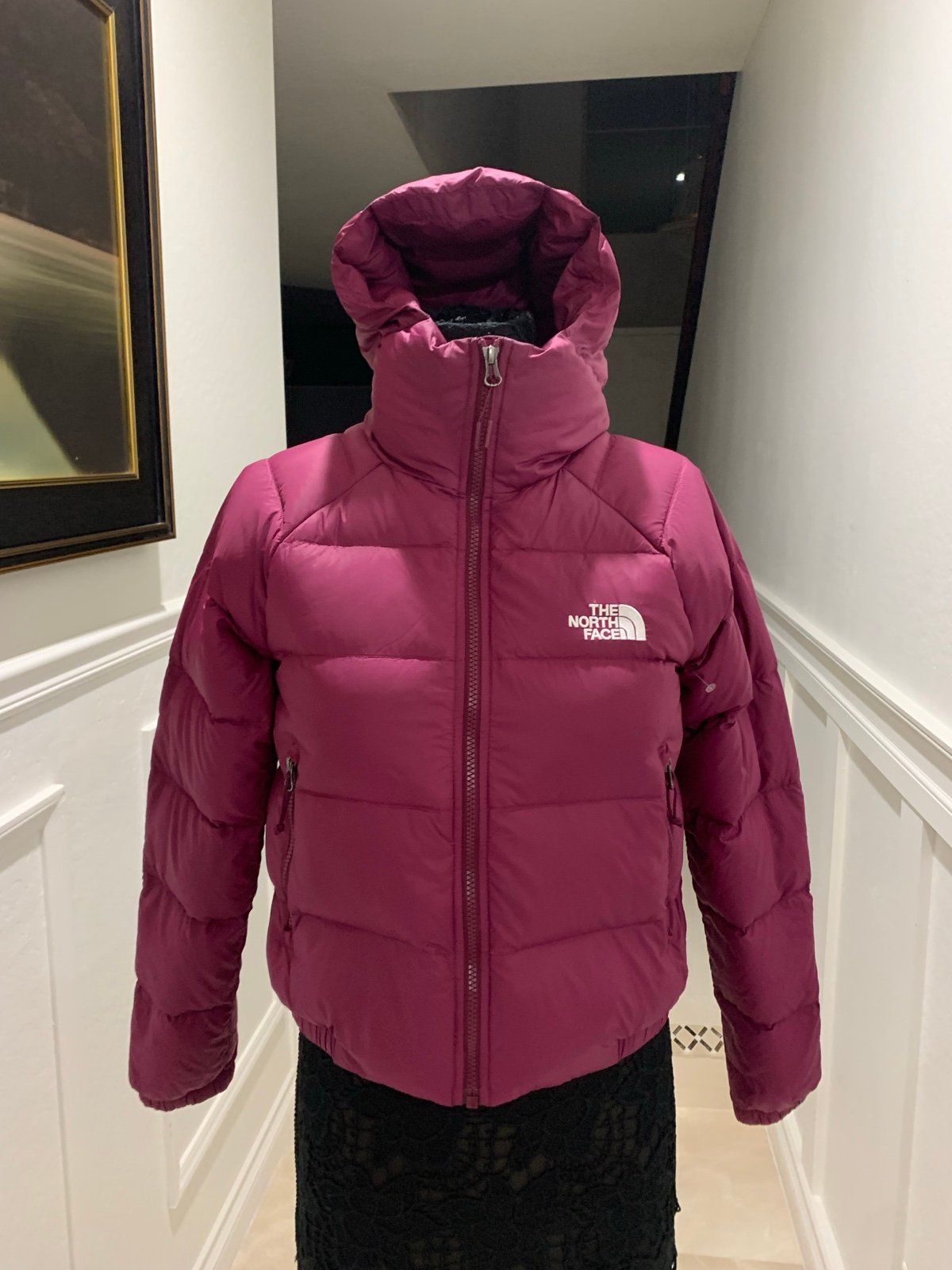The North Face Hydrenalite Down Hoodie Size S