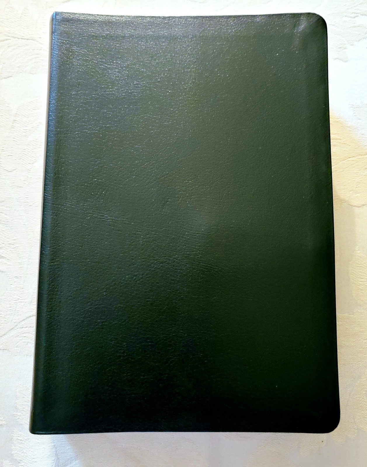 NIV Full Color Study Bible