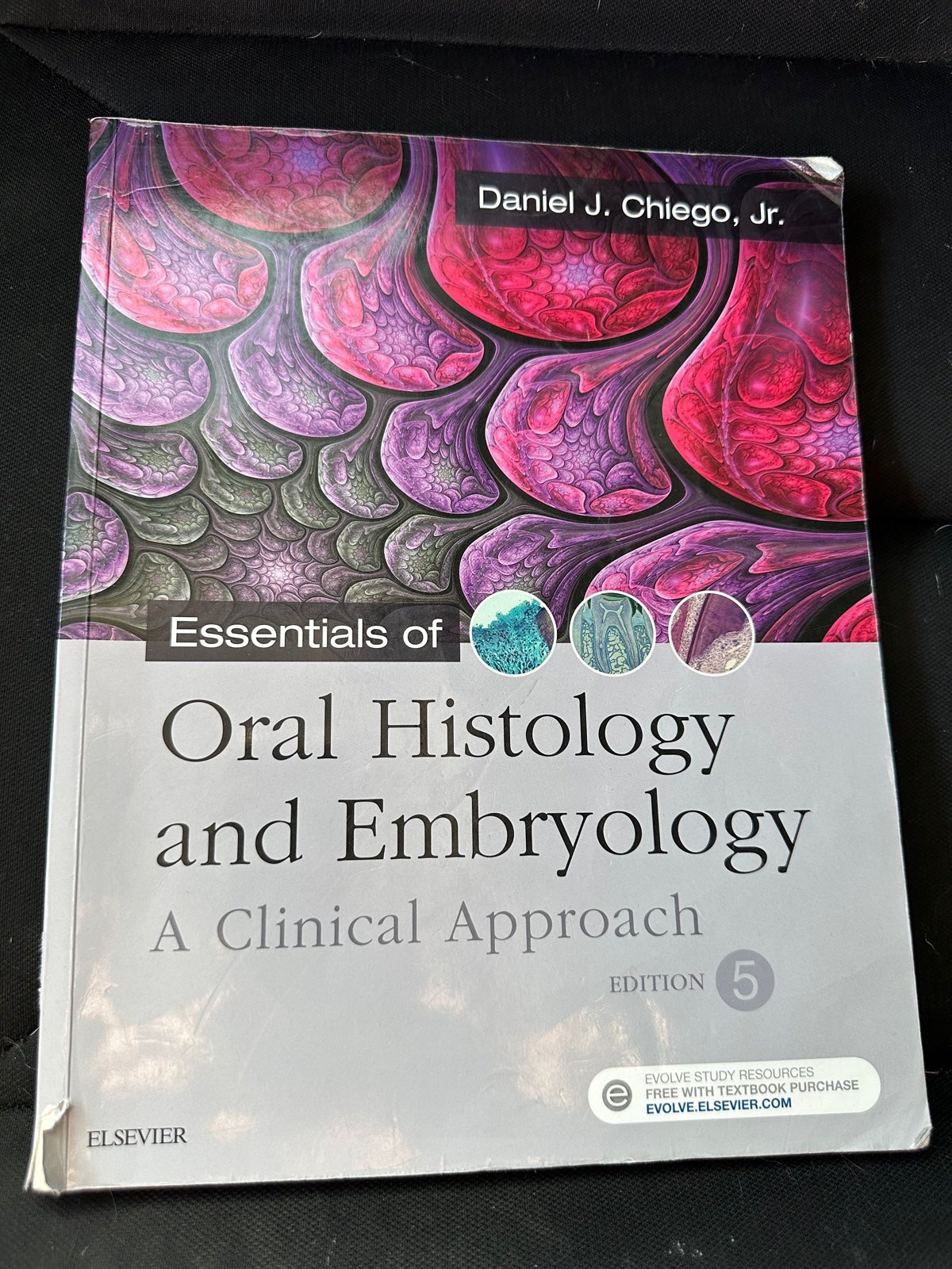 Oral histology and embryology textbook