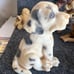 Vintage lot of resin miniature dogs