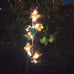 2 Pack Butterfly Solar Stake Lights, Waterproof, for Outdoor Decoration.