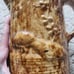 Antique Bennington pottery peacock pitcher, will consider reasonable offers