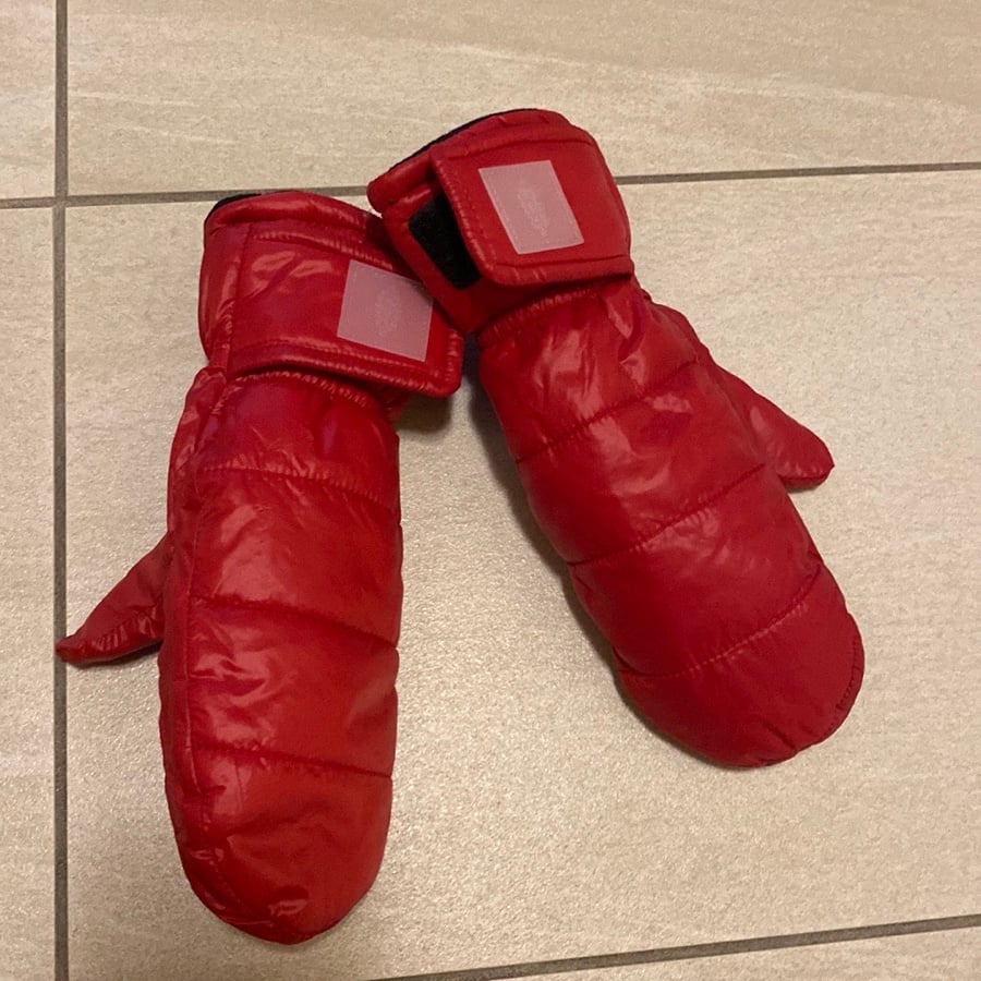 Free People Mittens (size:OS)