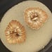 14kt gold Ruby set earring pendant