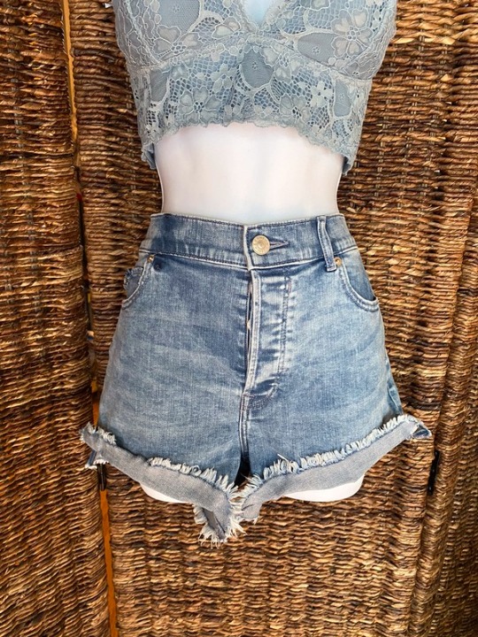 Vintage High Rise Denim Cutoff Shorts