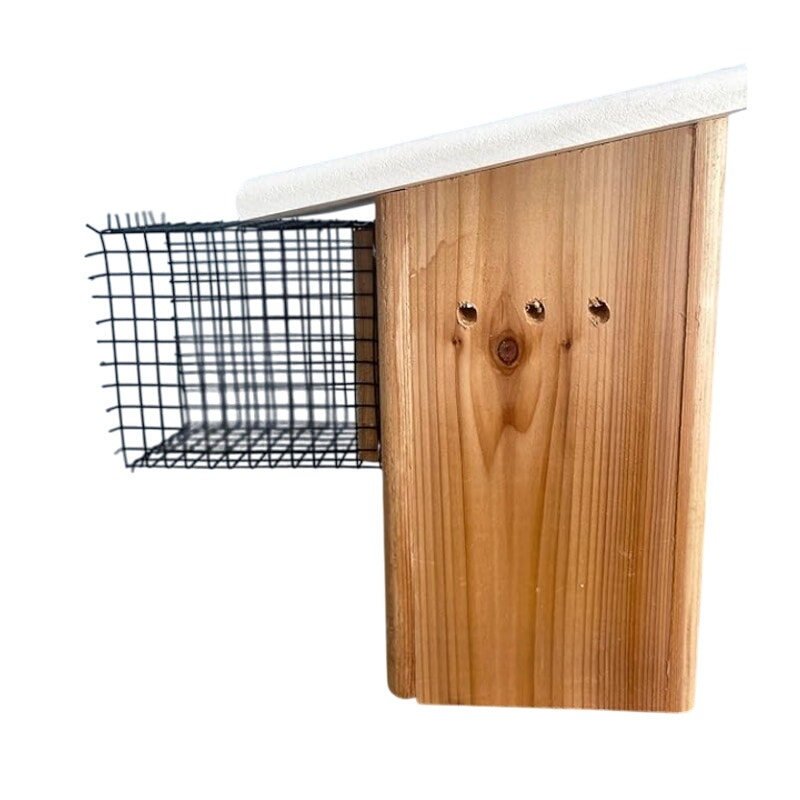 Bird House Predator Noel Guards Two Pack in Black