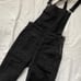 Madewell Lunar Wash Denim Skinny Overall
