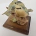 Vintage Florence Giuseppe Armani Blue Birds Figurine Made In Italy