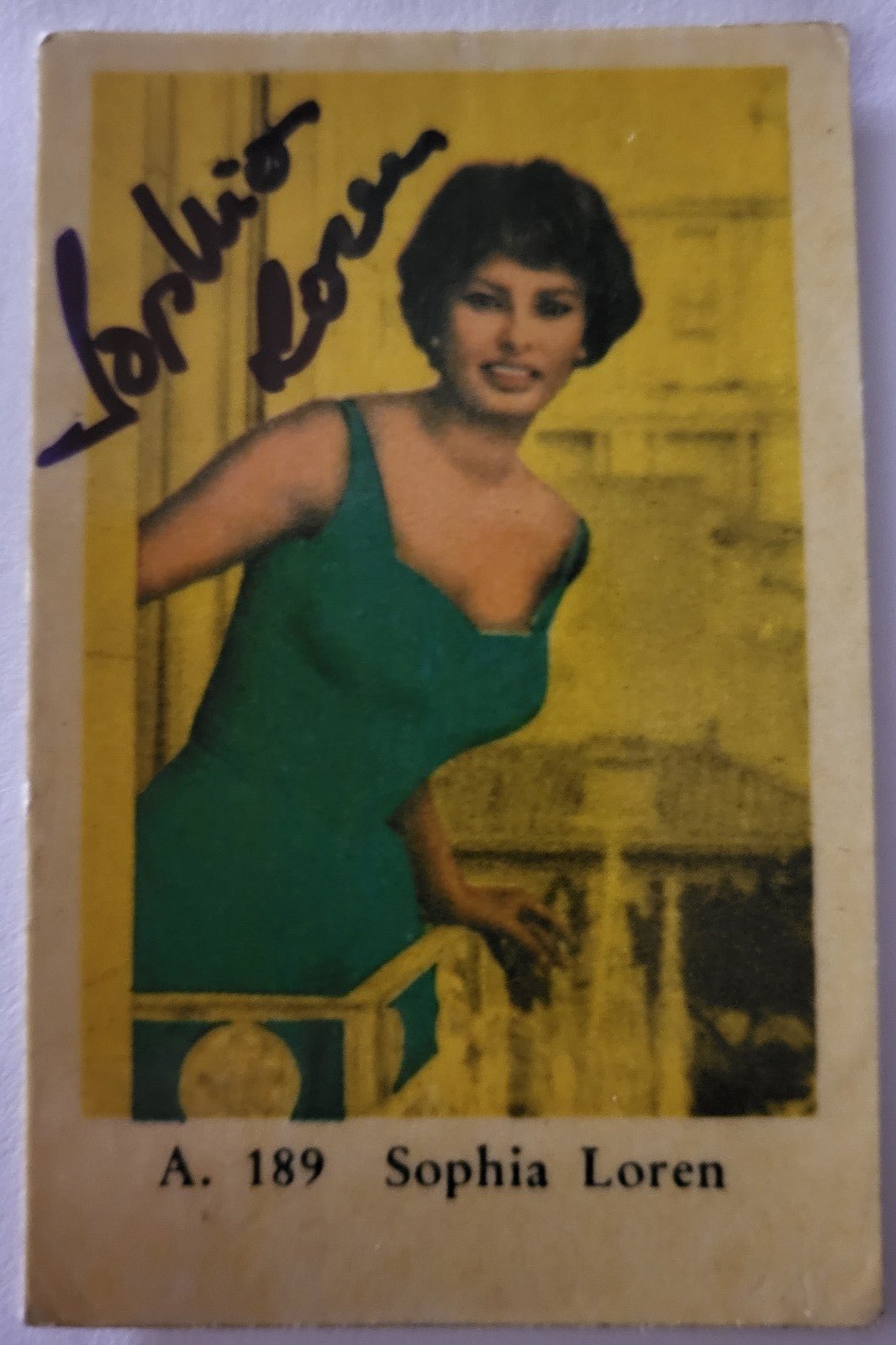 SOPHIA LOREN RARE 1950'S MOVIE STARS COLLECTORS CARD EUROPE!!! - VERY RARE!!!