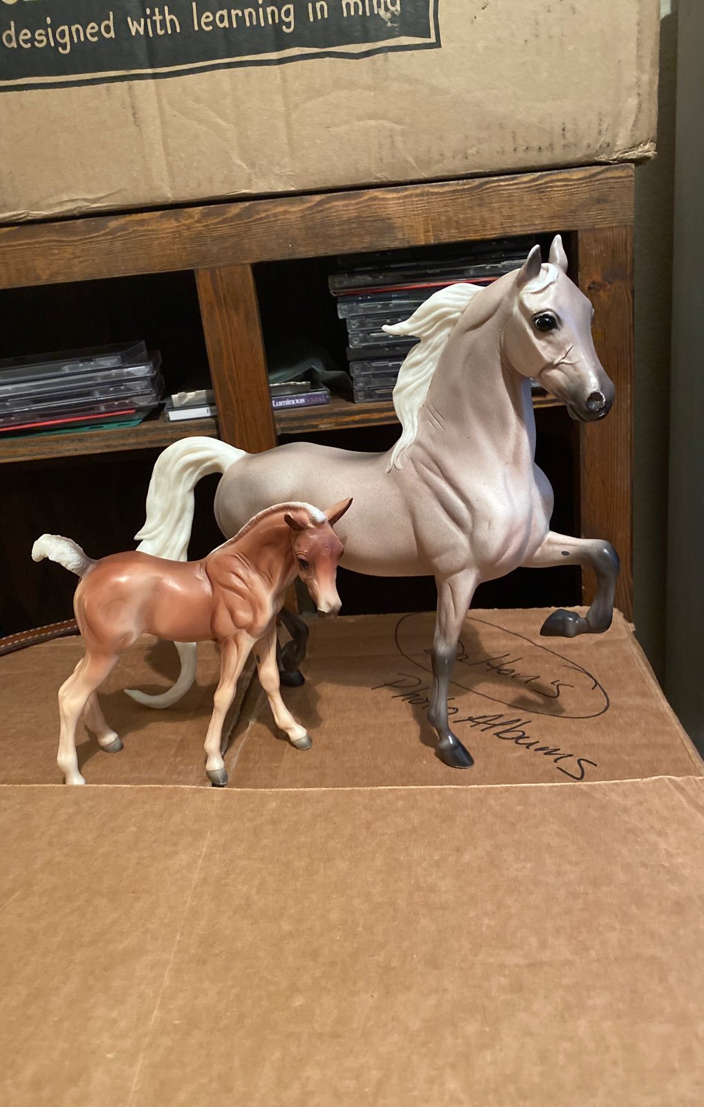 Color crazy scavenger hunt mare& foal se