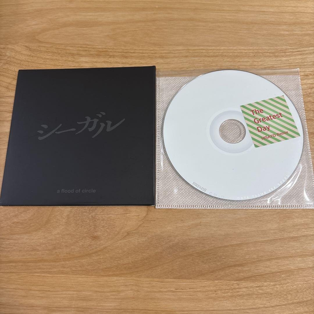 A Flood of Circle CD