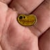 One Ring bean Pin
