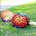 Bead net sand hammer, hand drum sand hammer-GFD