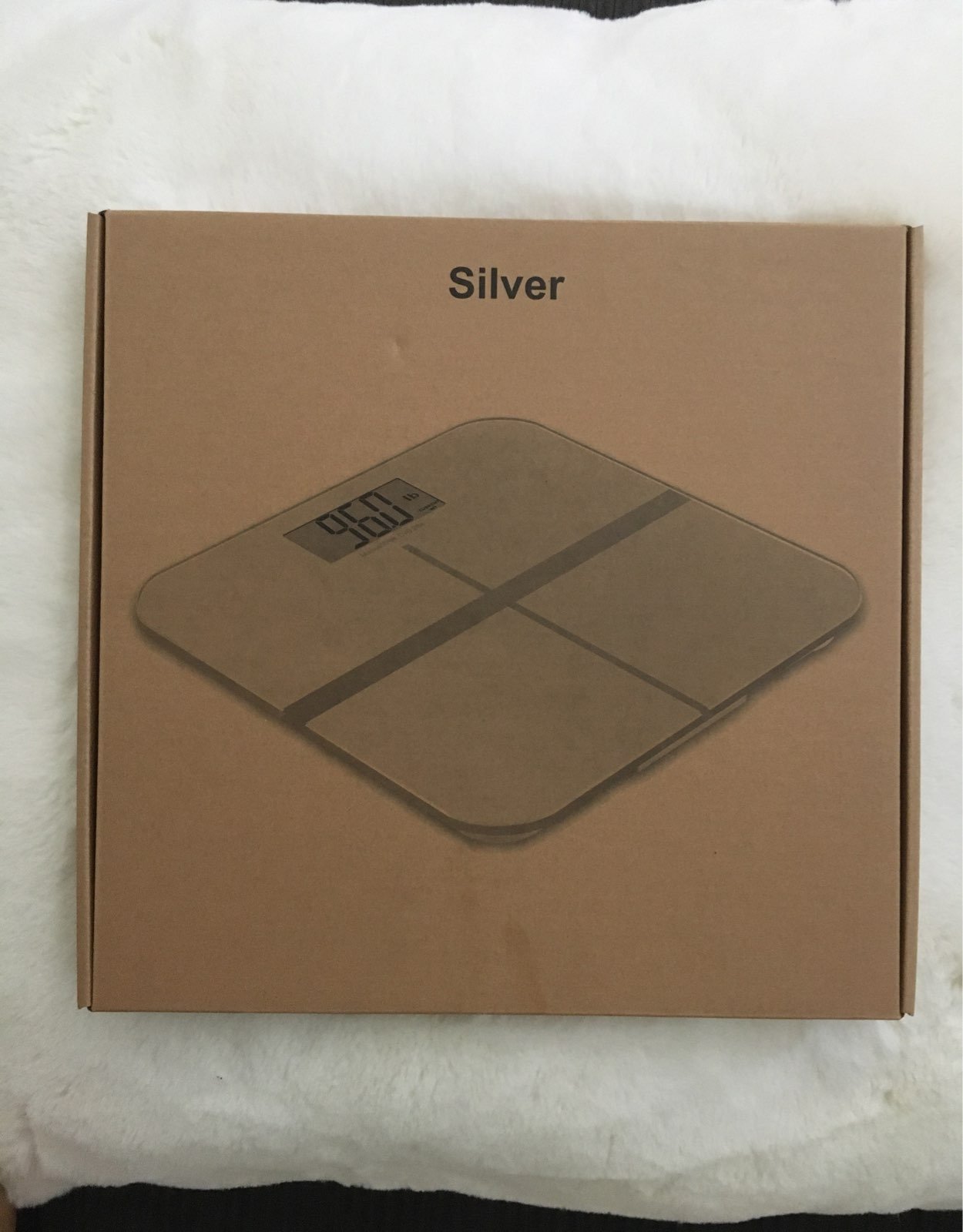 Silver Bathroom Scale