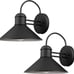 Globe Electric 44165 1-Light Outdoor Wall Sconce, 2-Pack, Weatherproof